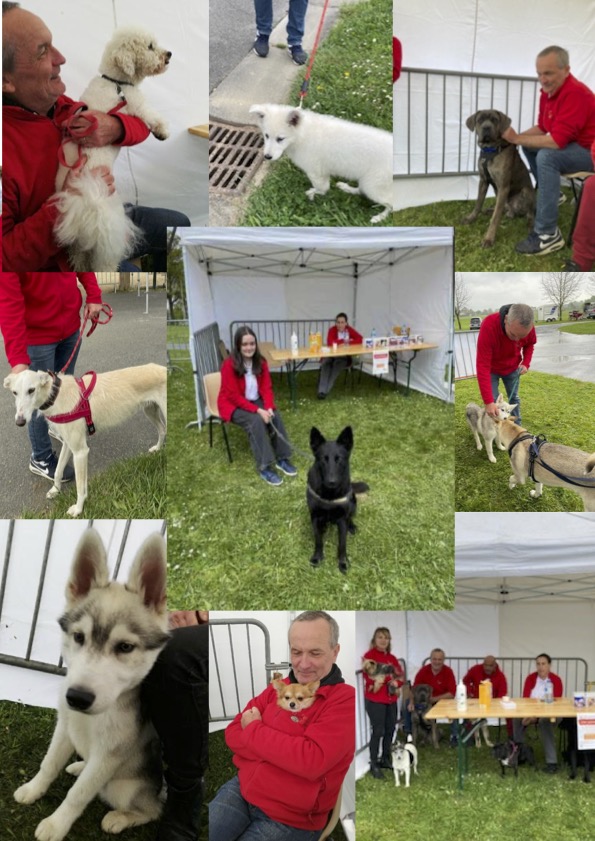 Salon des animaux de&nbsp;Séreilhac